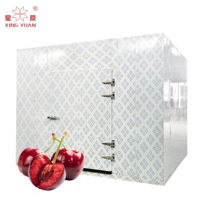 China Factory Price Newest 20ft cold storage room commercial frozen cold rooms for meat or fish for sale