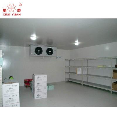 Chine Cold store cold room for fruit and vegetables with a volume of 800 ton à vendre