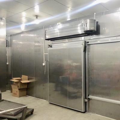 China Cold storage Cold room sliding door with PU insulation and smooth sliding system for sale