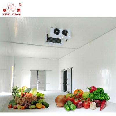 China Fruit cold storage cold room price for apple, orange, mango, avocado, cherry for sale