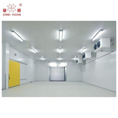 China 200Mt Cold Storage Room Blaster Ice Cream Cold Room Freezer For Fish for sale