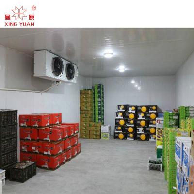 Chine 500Mt Cold Storage Fish Freezer Room Cold Room For Potato à vendre