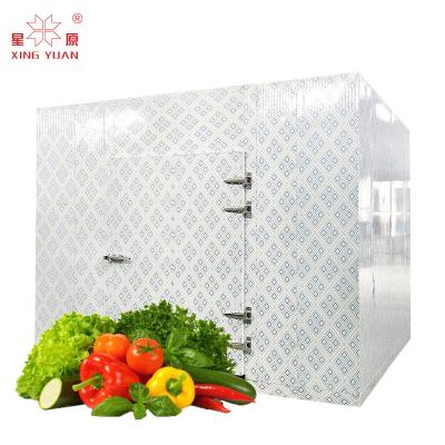 Chine Factory Directly Supply chill room walk in cold room freezer storge equipment price à vendre