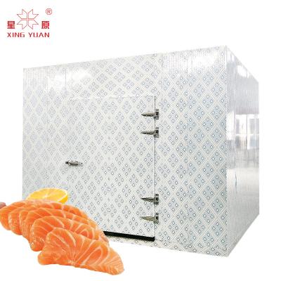 Chine New Hot Selling Products cold storage room vegetable deep freezer mobile cold room 15 tons à vendre