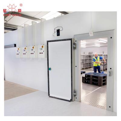 China Competitive Price Color steel Polyurethane sandwich panels stainless steel cold room Swing Door for sale