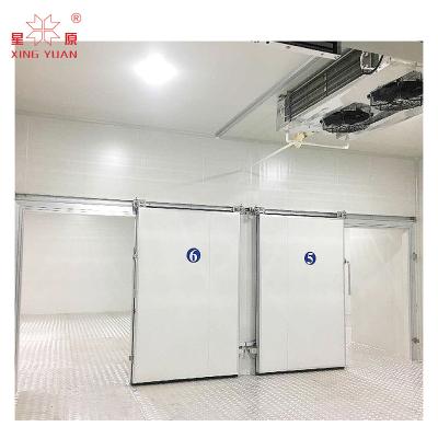 China Industrial cold room sliding special door for cold room, walk in cooler cold room door for sale