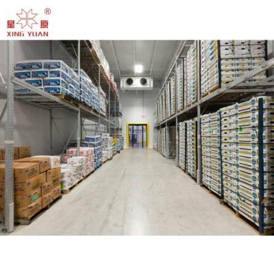 China Commercial walk in type blast freezer cold room for pork, beef, chicken, fish for sale