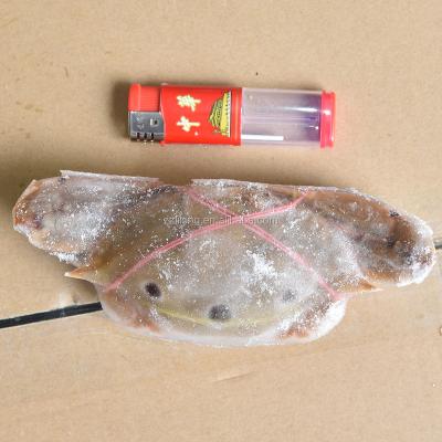 China Sea Redspot FROZEN IQF Wild Hook Alive Frozen Swimming Crab for sale