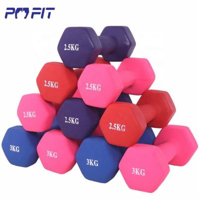 China Plastic Dip In Dumbbell Custom Purple Round Color Dumbbell 5kg Vinyl Rubber Dumbbell Neoprene Covered Dumbbell for sale