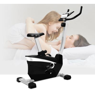 China Mini Home Use Gym Exercise Bike Portable Spinning Indoor Bike For Home Use for sale