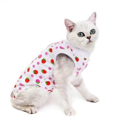 China Viable Hot Sale Cat Changing Costume Cat Clothes For Summer for sale