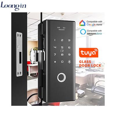 China App Remote Control Zinc Alloy Biometric Fingerprint WiFi Tuya Digital Smart Glass Door Lock For Office for sale