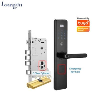 China Aluminum Alloy Waterproof LockWIFI Smart APP Door Lock Aluminum Fingerprint Inside Keyless Digital Handle Tuya Smart Lock for sale