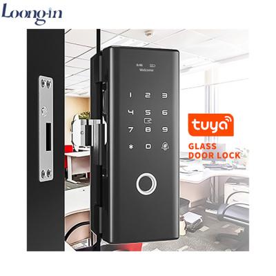 China Zinc Alloy Glass No Drill Fingerprint Easy Use Intelligence Smart Glass Electronic Door Hook Lock With Screen for sale