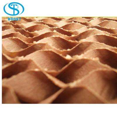 China Hot Sale Poultry Farm / Livestock Greenhouse Evaporative Cooling Pad for Greenhouse and Poultry Farm for sale