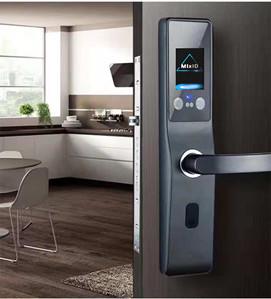 China Security Face Recognition Door Lock for sale