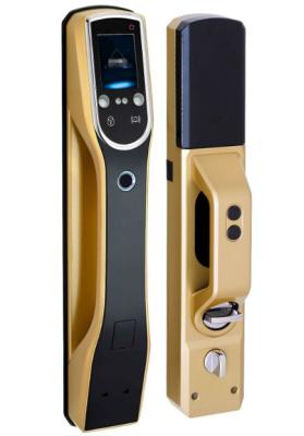 China LCD Screen Biometric Recognition Products Face Recognition Door Lock IR Sensor for sale