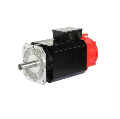 China 9.5KW 11KW 15KW 30KW 6000rpm totally enclosed high speed asynchronous spindle servo motor for sale