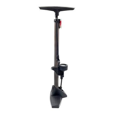 China bike/car/ball/ring etc. 160 PSI Bike Hand Pump Presta Schrader Valve Tire Air Foot Pump Floor Pump for sale