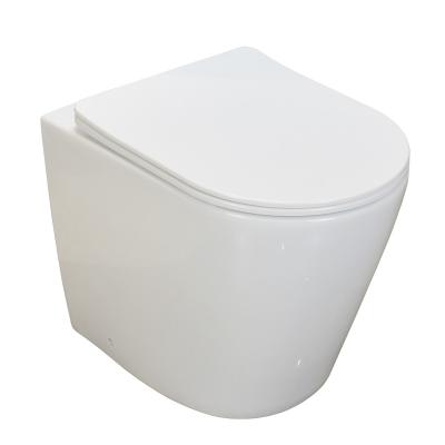 China ANNWA EX2881 Ceramic Wash Tank ANNWA EX2881 P-trap Down New-wall Concealed Floor Toilet for sale