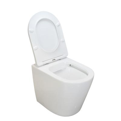 China Ceramic Washdown Tank ANNWA EX2881 P-trap New-wall Concealed Floor Toilet for sale