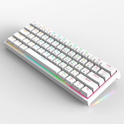 China Multimedia Keys Custom 61 Keys Pudding Keytop Wired Mechanical Keyboard With Transparent Cover RGB Led 60% Hot Swap Mechanic Keyboard for sale