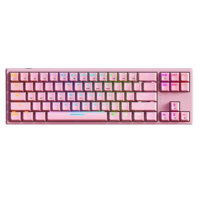 China Multimedia Keys Custom 71 Keys Pudding Keytop Wired Mechanical Keyboard With RGB Transparent Cover Led 60% Hot Swap Mechanic Keyboard for sale