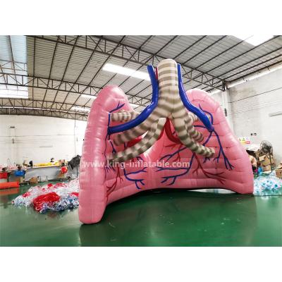 China Giant Inflatable Lung Show Customized Human Organs For Exhibition for sale