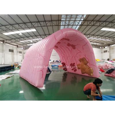 China Exhibition Human Organ Giant Colon Inflatable Large Intestine For Exhibition for sale