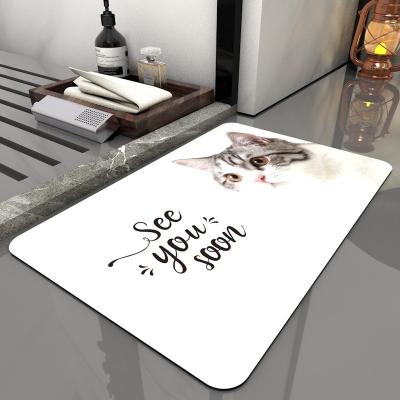 China Latest Viable Anti Skid Diatom Mud Bathroom Floor Mat Mat Diatomite Bath Blankets Good Quality for sale