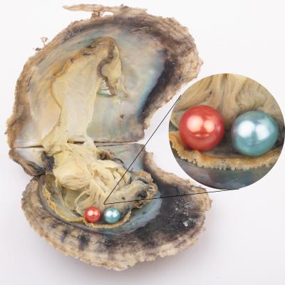 China Part Freshwater Gift 6-8mm Aaaa+ Pearl Wish Love Pearl Quality Akoya 2 Vacuum Packed Pearl In Oyster Cultured Twin Akoya Oyster for sale