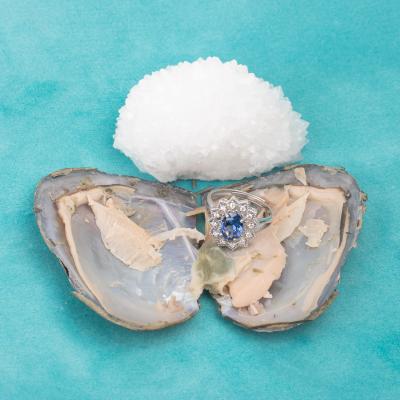 China Fashion Love Wish Pearl Party Gift Jewelry Oyster Gem Fortune Oyster Gem Vacuum Packed Ring in Oyster Shell for sale