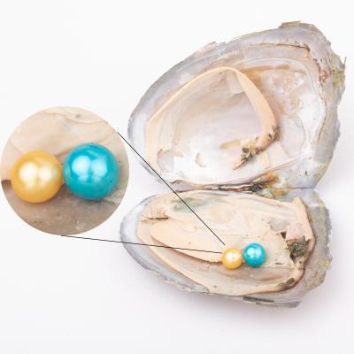 China Part Gift 6-7mm Freshwater Pearl Wish Love Pearl 4a Grade 4a Vacuum Packed Freshwater 2 Pearl In Oyster Cultured Freshwater Twin Pearl Oyster for sale