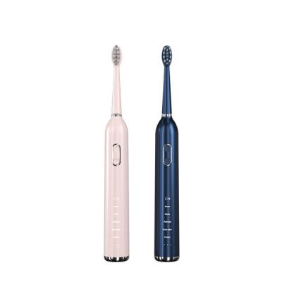 China Private Label Sonic Electric Toothbrush Sonic Toothbrush Oral Care Replacement Head Home Automatic Toothbrush For Adult for sale