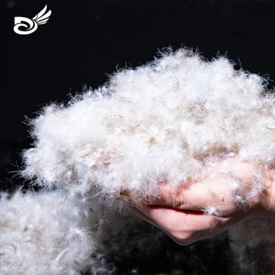 China Factory Wholesale High Quality Eco-friendly Machine Washable Goose Down Goose Feather EN12934 Class1 Washed 90/10 Gray Goose Down for sale