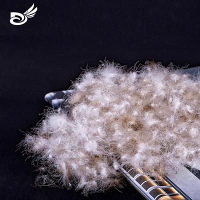 China USA-2000 Eco-friendly factory wholesale standard sales 80%washed gray duck down feather for sale