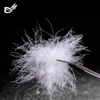 China EN12934 standard wholesale eco-friendly cheap 50% washed down white natural goose feather goose down fill goose down feather for sale for sale