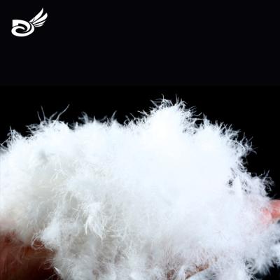 China Eco-friendly Made in EN12934 Standard 80% China High Quality Washed New White Goose Down Wholesale White Goose Down Duck Down and Feather for sale