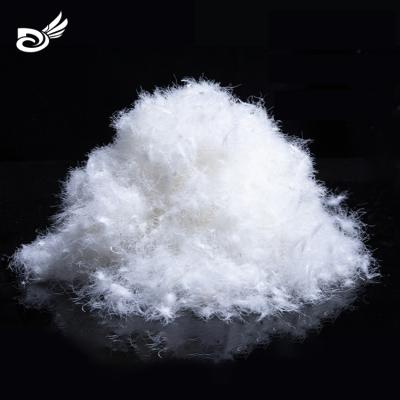 China Chinese wholesale high quality cheap white washed goose eco-friendly EN12934 standard 90% factory direct price down and feather on sale for sale