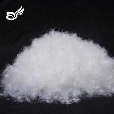 China The factory wholesale price eco-friendly high quality raw material 95% white goose down and feather for inner comforter for sale