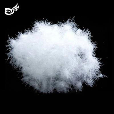 China Cheap 40% Eco-friendly Washed Down White Natural Goose Feather Goose Down Fill Goose Down Feather For Sale for sale