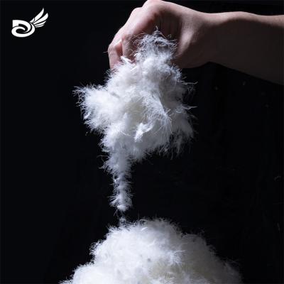 China Factory Manufacture Eco-friendly High Filling Power Washed China Standard New 60 40 White Duck Down White Color Health ISO for sale