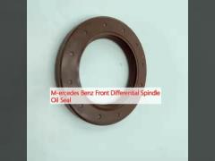 M-ercedes Benz Front Differential Spindle Oil Seal