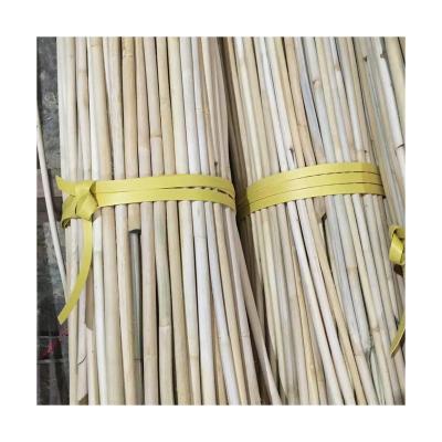 China Real Handmade Rattan Webbing Roll Cane For Table Ceiling Background Wall Chair Decor Furniture Material Stick for sale