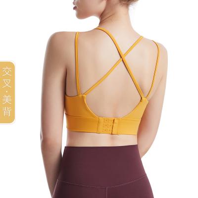 China Sporty OEM Nylon Spandex / Ladies Workout Gym Fitness Bra Custom Sports Bra for sale