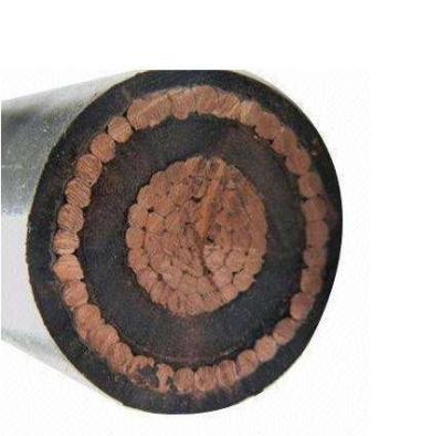 China Best Price Single-Phase Insulated Low Voltage Cable Concentric Type for sale