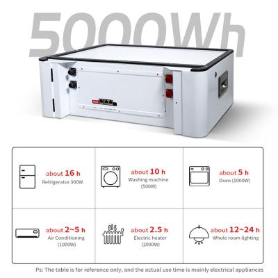 China de Batterij van 51.2v BMS Lithium Iron Phosphate, de Batterij van 15kwh 48v 300ah Lifepo4 Te koop