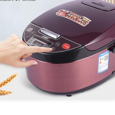 China Reservation function large capacity 5L wholesale household multifunctional intelligent rice cooker for sale