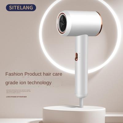 China Star Ionic Net Hammer Hair Dryer Folding Mute High Power Negative Ion Hair Dryer for sale