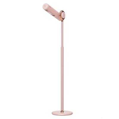 China Standing Hotel New Electric Floor Light Weight Free Angle Adjustment Standing Hair Dryer for sale